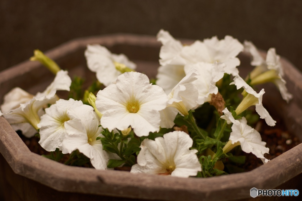 B2F4BC10-F087-47F2-A31C-9ECFE115F9B0