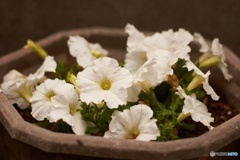 B2F4BC10-F087-47F2-A31C-9ECFE115F9B0