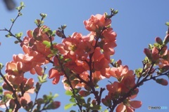 967E7D10-2EB5-4DDD-A04B-3E0B88560503