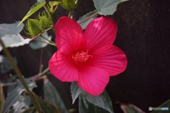 F3B67CE2-30E2-4442-98B5-DBC1C9F01FF3