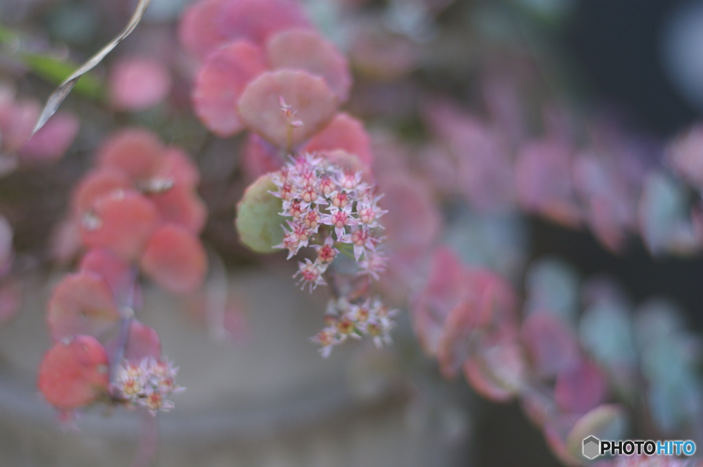 03F7C3DA-31B0-458A-97CF-CEDCCECEED6E