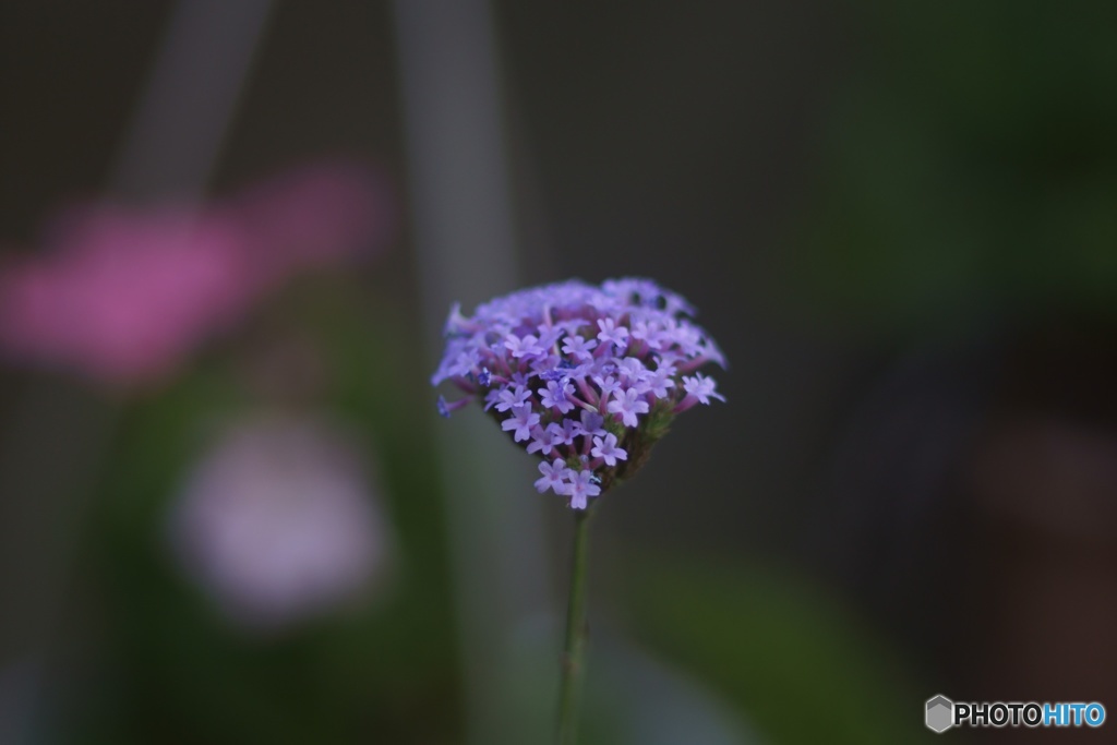 8C7CE345-56B7-489D-9262-AE345BBCDD96