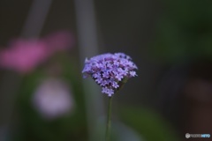 8C7CE345-56B7-489D-9262-AE345BBCDD96