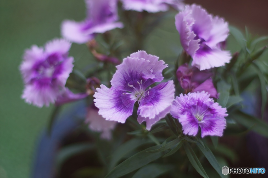 3E36FA68-DABC-43F7-94F2-E616AC936698