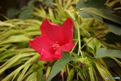 A35939BA-6096-4318-AE42-A25B2DF86740