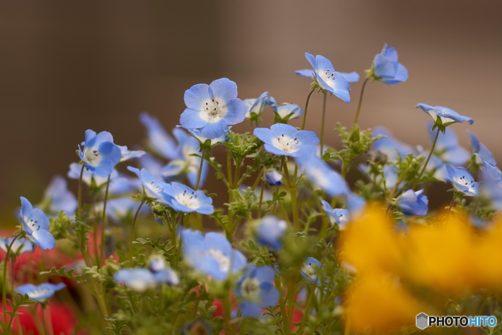 B7D54E0B-CD48-456C-9032-9BFB15FC03E2