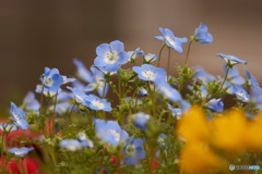 B7D54E0B-CD48-456C-9032-9BFB15FC03E2