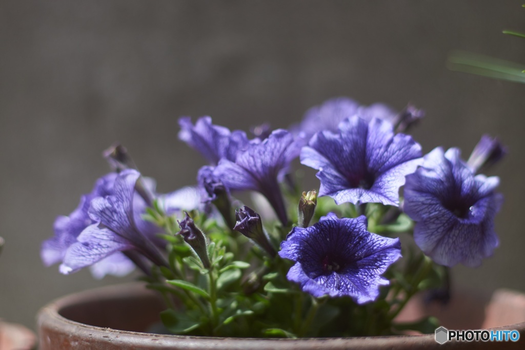 10C040E3-0538-4496-9097-4CE5AB750120