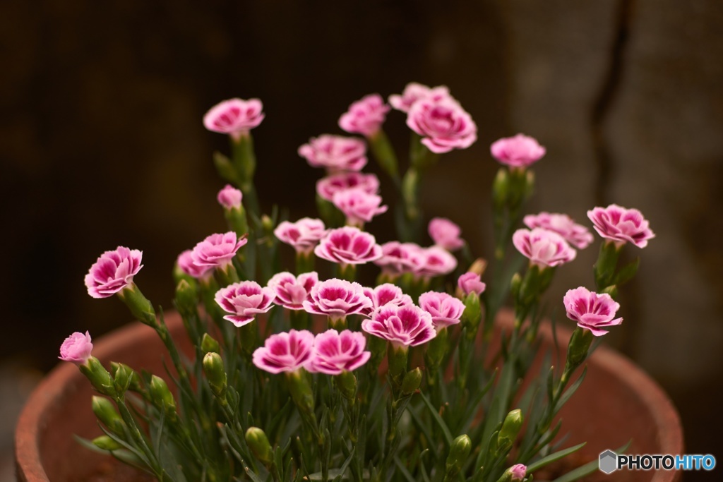 E4DA5217-72EF-41A5-A595-05C957A105F5