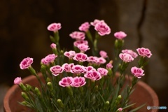 E4DA5217-72EF-41A5-A595-05C957A105F5