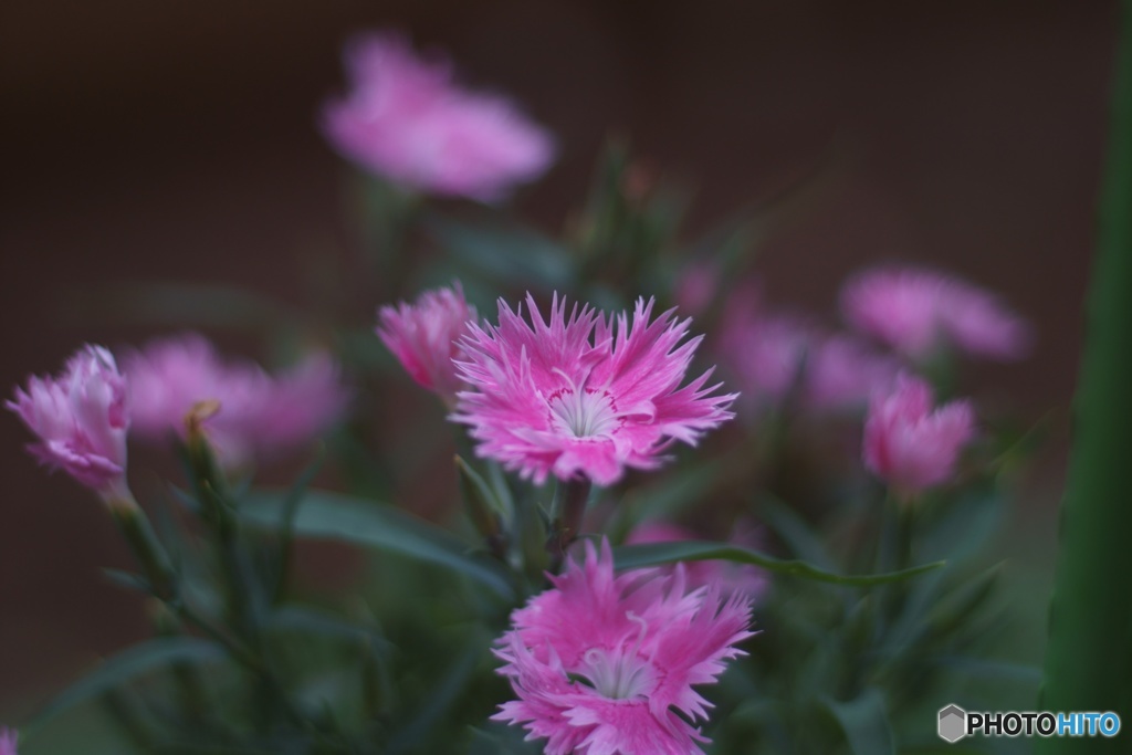 F9B4BF9C-A2A1-4C80-B53B-884B87529E8A