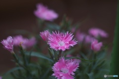 F9B4BF9C-A2A1-4C80-B53B-884B87529E8A