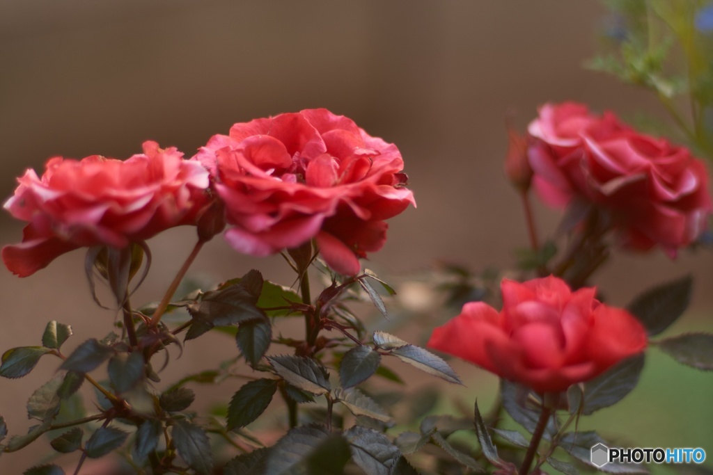 CFFC10BD-6C31-4EC1-AA63-EFF39679F99D