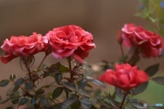 CFFC10BD-6C31-4EC1-AA63-EFF39679F99D