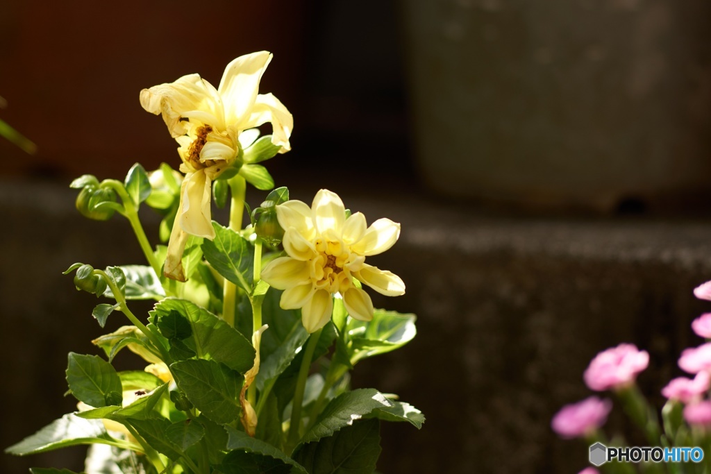 A16A4AB1-5C5F-44DB-B604-8F593E6060BD