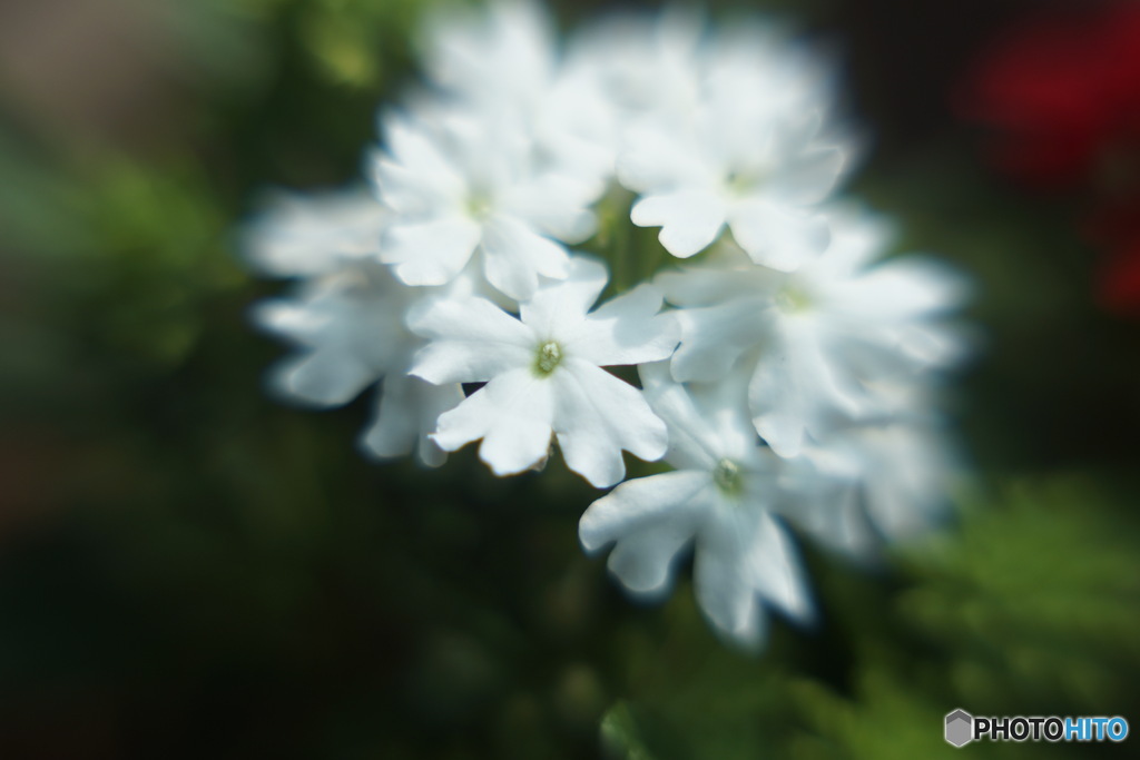 BE8F2624-9FCF-4816-A505-DDBE24A1D482