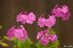 C320797F-9CFC-4A8D-A5D0-A4082B69B65D