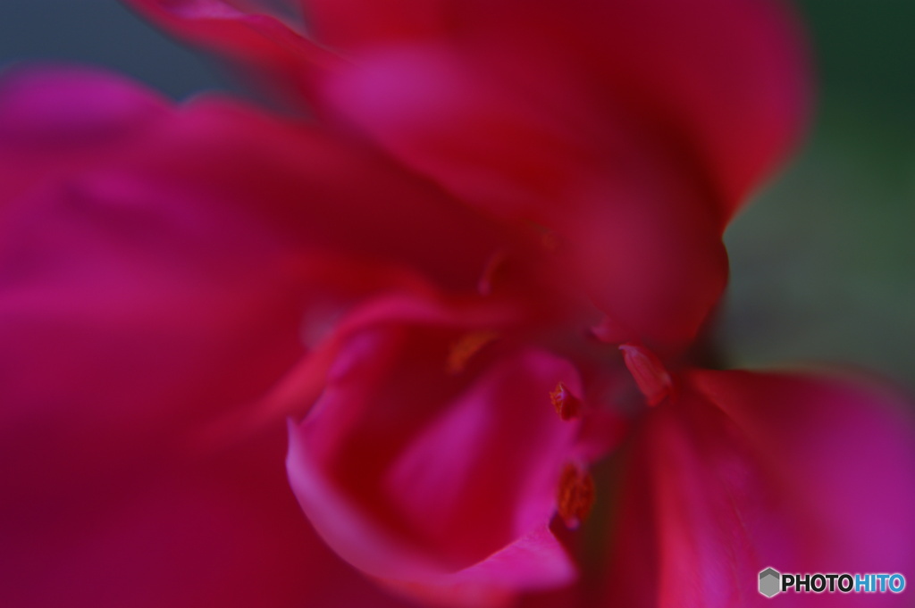 3E713876-9454-4E42-9EB5-00E4E6125BB9