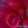 3E713876-9454-4E42-9EB5-00E4E6125BB9