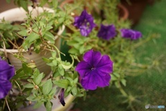 57855BDF-9F8F-4144-BB3F-4FFD18A7B4E0