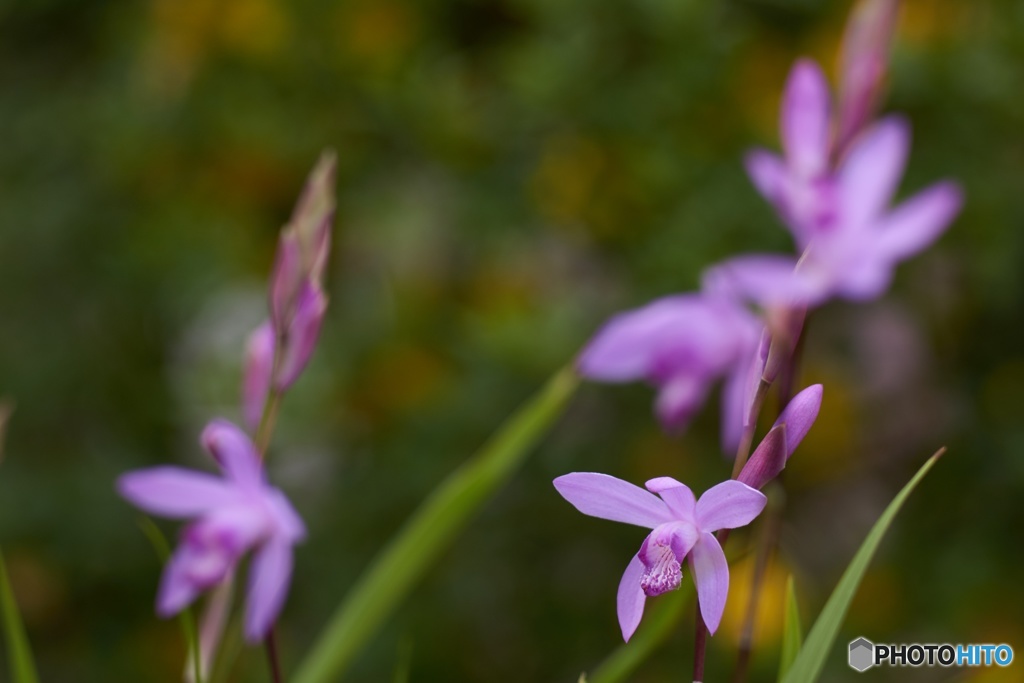 0D2214EF-45CB-4A58-A87B-96EE0DD12466