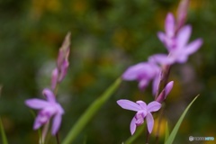 0D2214EF-45CB-4A58-A87B-96EE0DD12466