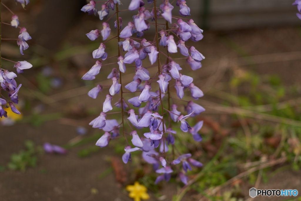 EED983A6-2654-415B-AD2E-93789C20766C