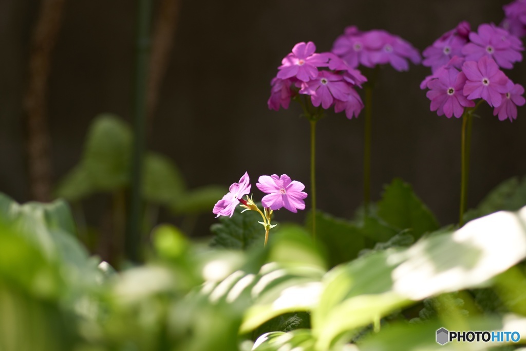 3E423DF9-6AB2-4655-A36E-9B25630C9419