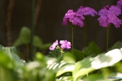 3E423DF9-6AB2-4655-A36E-9B25630C9419