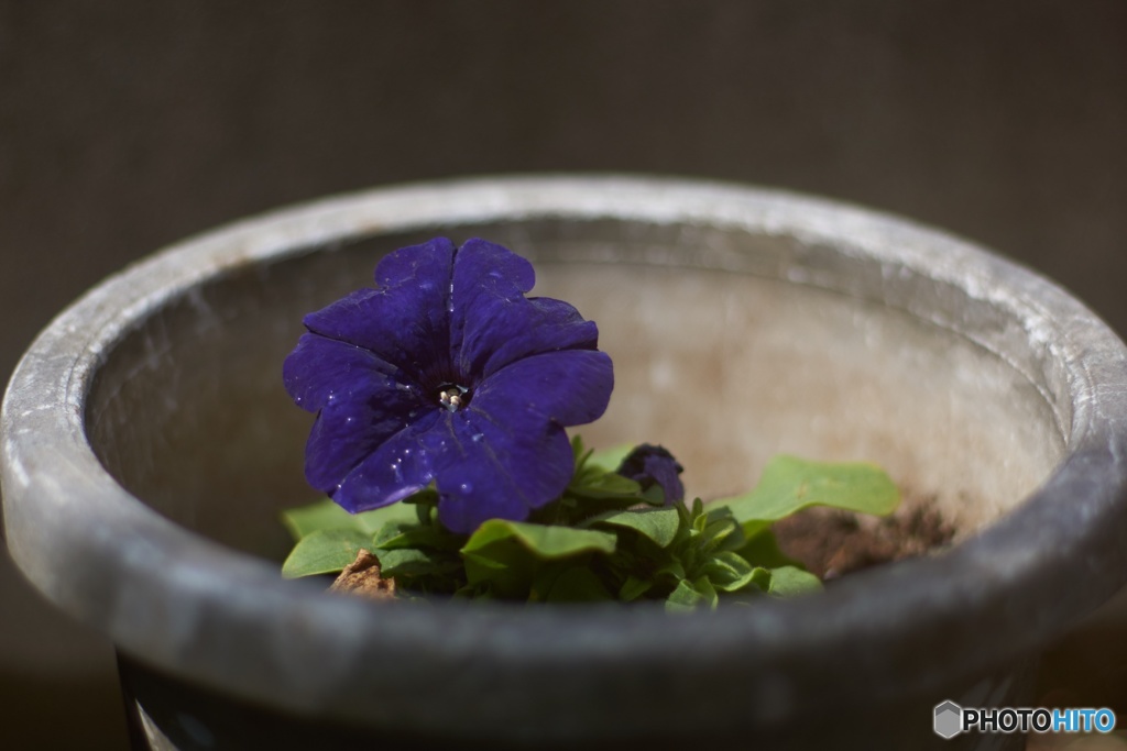 A9CF333A-E443-4BF3-9C0E-A1413003BD0A