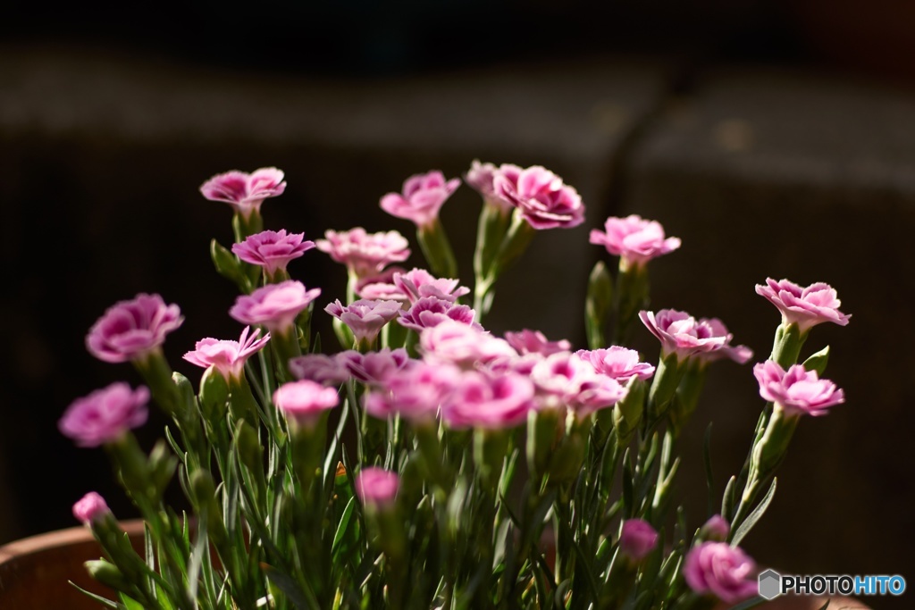 66D7144C-62E7-4829-B9DA-BF98E17FFD57