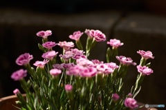 66D7144C-62E7-4829-B9DA-BF98E17FFD57