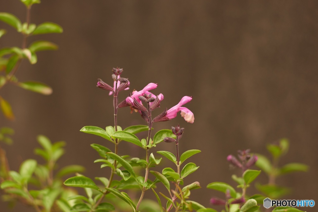 0C29F424-53DB-407E-8D12-60CCBC0B8C8F