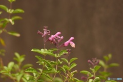 0C29F424-53DB-407E-8D12-60CCBC0B8C8F