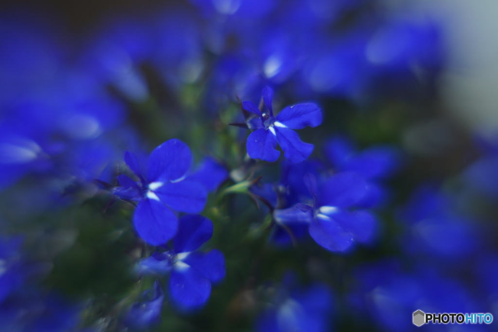 7F0E8BC8-53E5-4624-AB2E-78CA29BC8810
