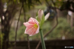 5E132466-85AD-4EDD-B053-530F79A3CD45