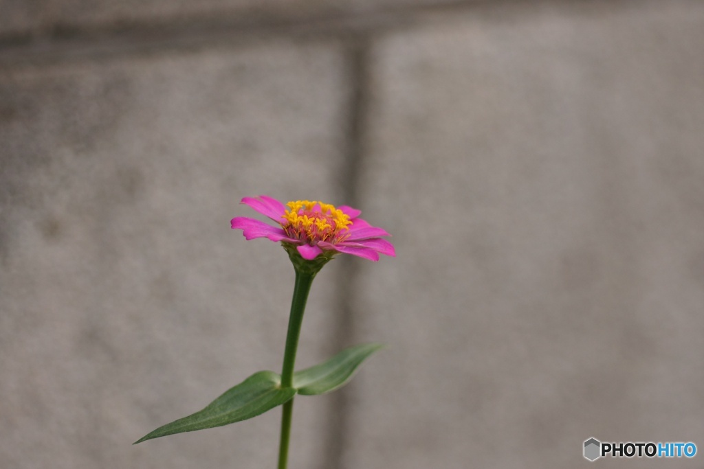 070A3786-8EB9-4B2D-BF27-C2BC8D8B9719