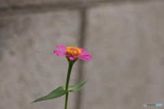 070A3786-8EB9-4B2D-BF27-C2BC8D8B9719