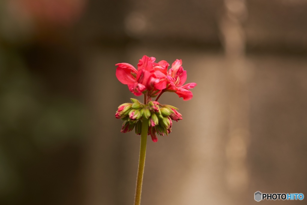 3BD45A72-E81A-4EC8-9894-5D918C4B4B01