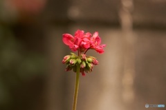 3BD45A72-E81A-4EC8-9894-5D918C4B4B01