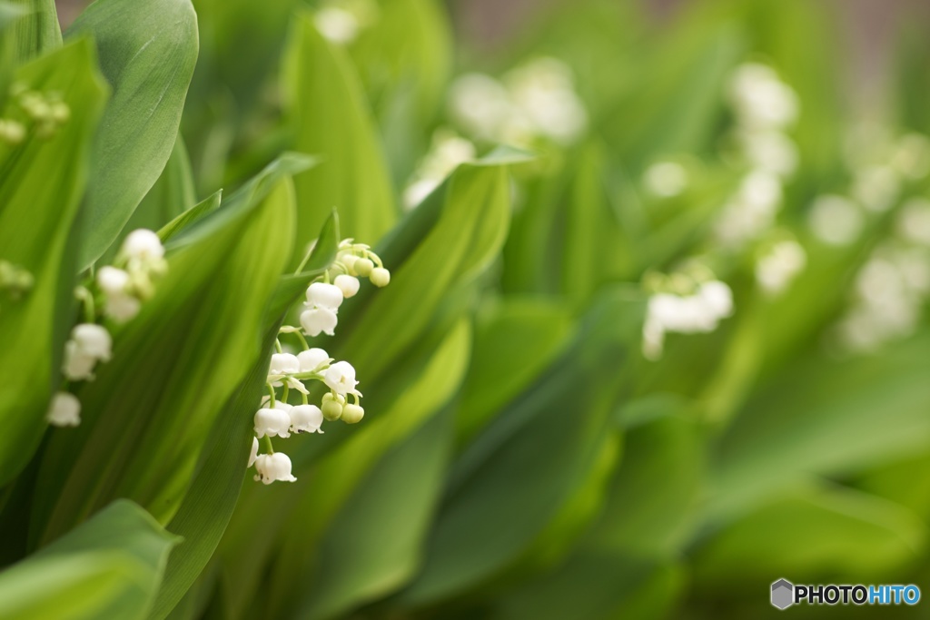 D6DF9C31-2285-477B-903A-88EF98C4B9CC