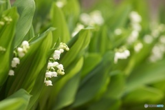 D6DF9C31-2285-477B-903A-88EF98C4B9CC