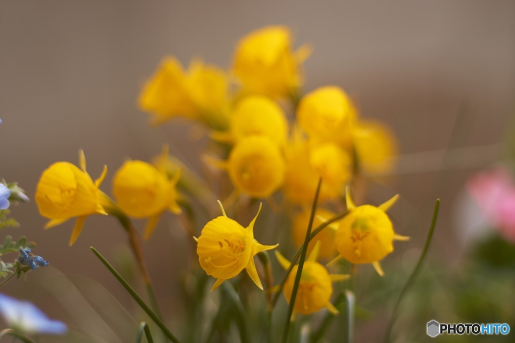 2E3BF754-37BF-4F3F-92F0-3CD51D3196C5