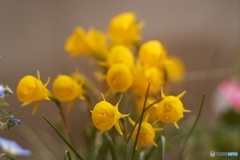 2E3BF754-37BF-4F3F-92F0-3CD51D3196C5