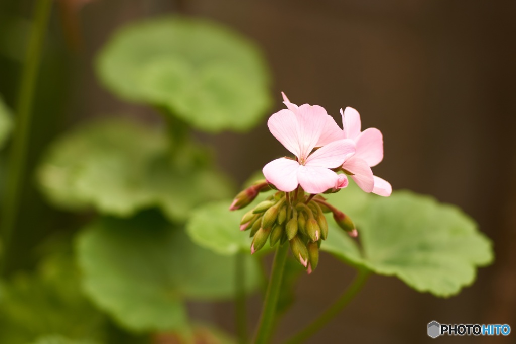 9F705C8C-C104-4147-9B42-01A78E18231A