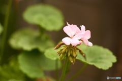 9F705C8C-C104-4147-9B42-01A78E18231A