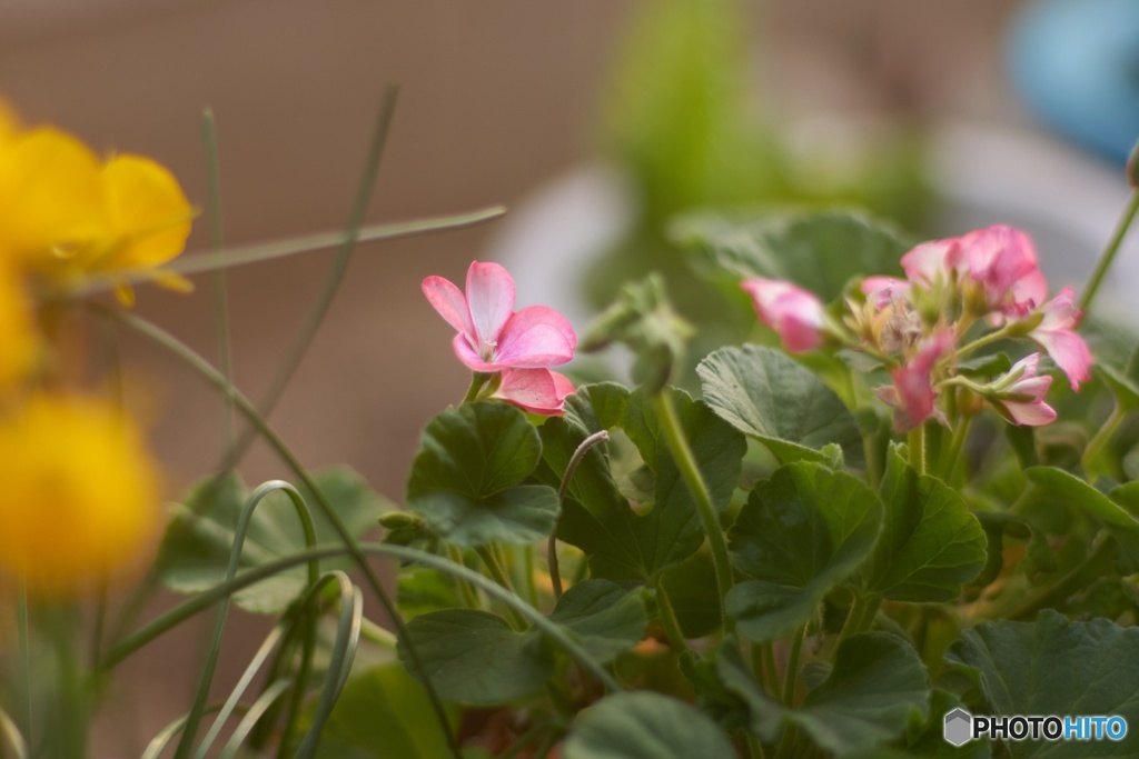 76589E24-586A-4ACE-84E0-E73921526F04