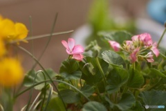 76589E24-586A-4ACE-84E0-E73921526F04