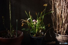 53A5E672-EAE8-4096-BDC7-5A056A1A134D