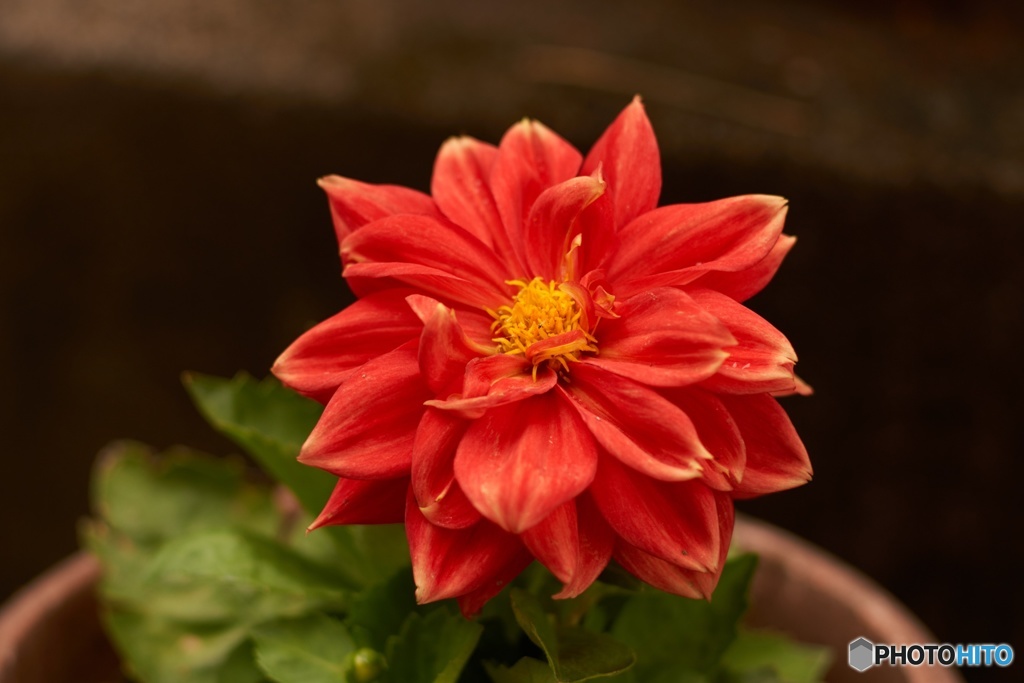 CCB82823-0AF1-4D2C-8B37-EFB7BFC8AE51